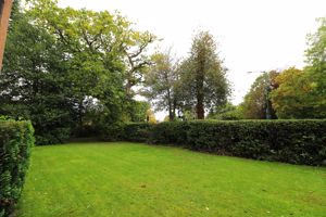 Photo 11- click for photo gallery